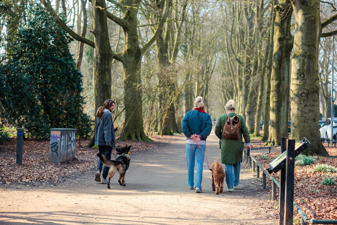 Hond tijdens in-persoon sessie-begeleiding